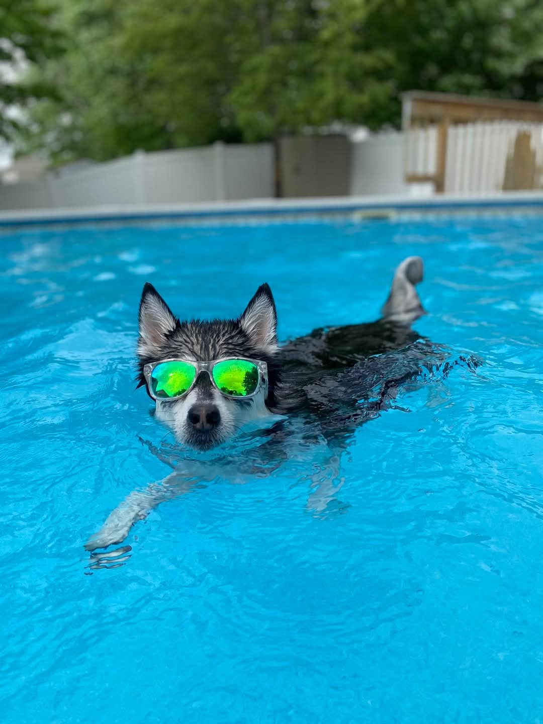 Stone Edge Build — Champaign County